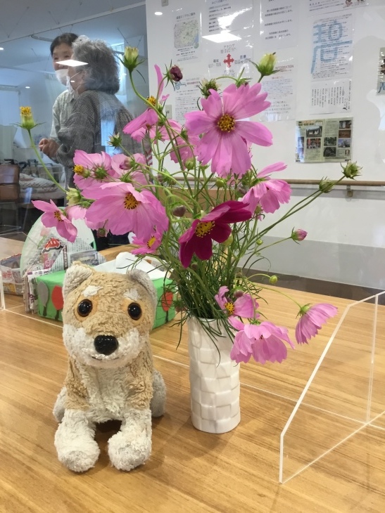 素敵な頂きものパート2💐_d0354061_12241074.jpeg