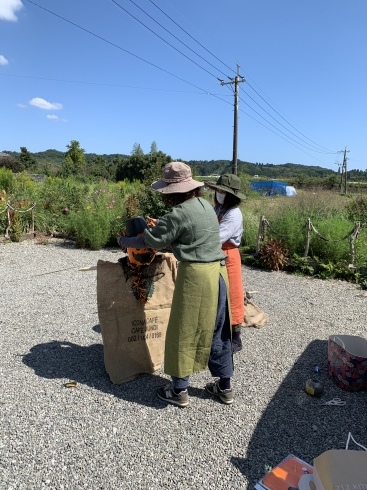 ズッコケコンビ ひろみ すみれ 宮崎の花屋 アナーセン
