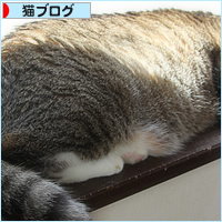 でかおの成長_a0389088_17485855.jpg