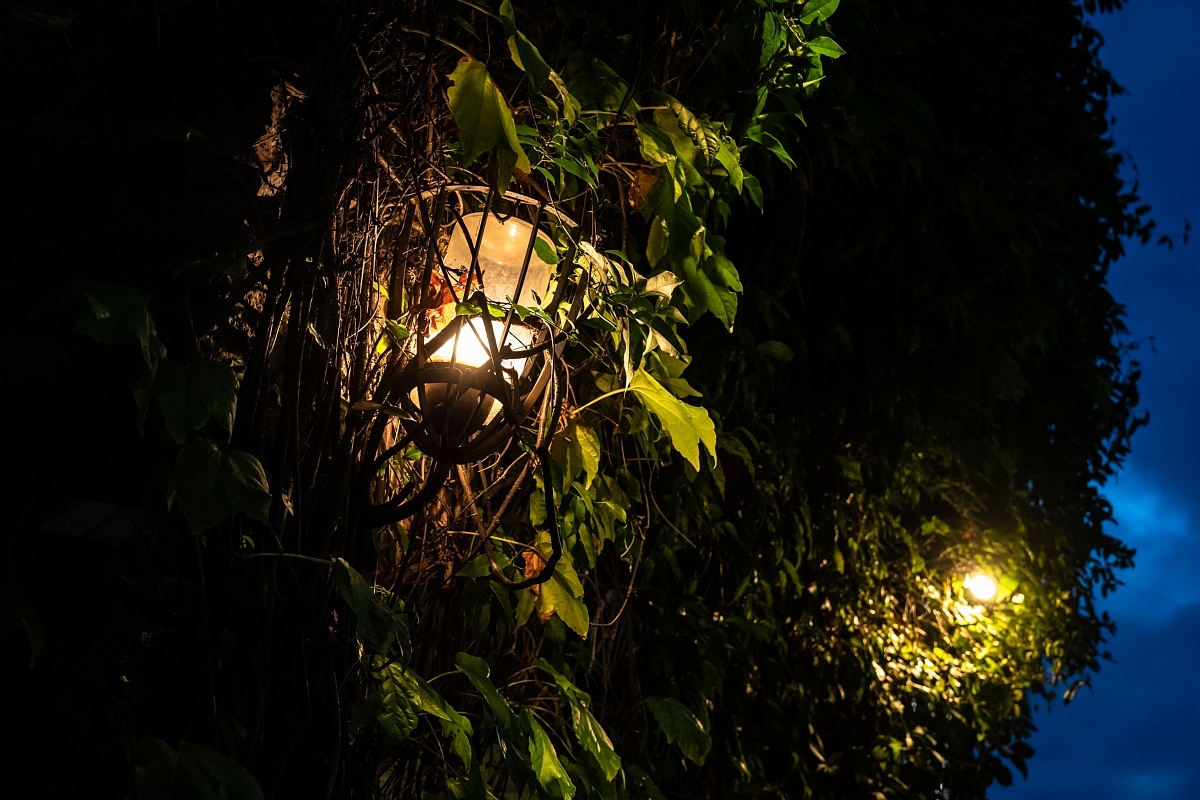 夜が訪れた東桜_d0353489_22161457.jpg
