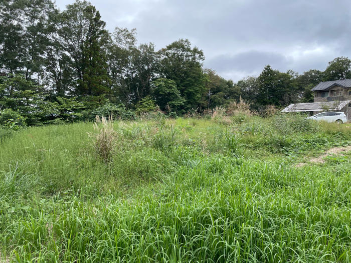 秋の草刈りキャンプ_f0074803_15474807.jpg