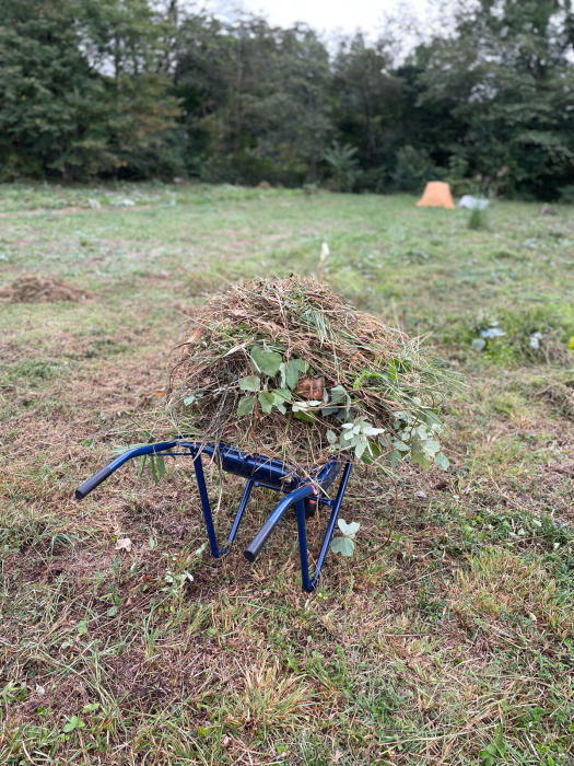 秋の草刈りキャンプ　つづき　_f0074803_17333997.jpg