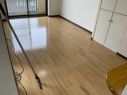 Y物件 8日目 浴槽エプロンに問題あり_f0031037_17103344.jpg