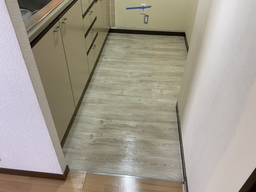 Y物件 8日目 浴槽エプロンに問題あり_f0031037_17103575.jpg