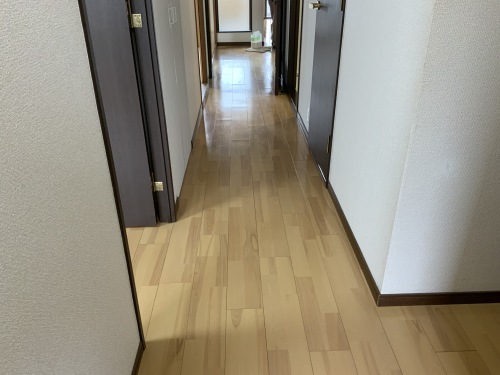 Y物件 8日目 浴槽エプロンに問題あり_f0031037_17110403.jpg