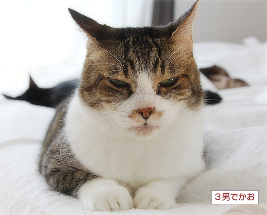 そんなときまで・・・_a0389088_16263624.jpg