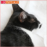そんなときまで・・・_a0389088_16263648.jpg
