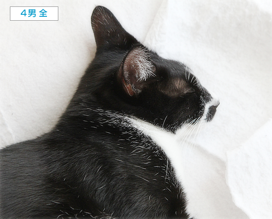 そんなときまで・・・_a0389088_16263682.jpg