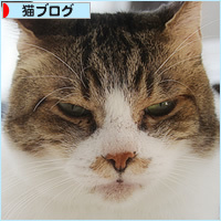 そんなときまで・・・_a0389088_16263685.jpg