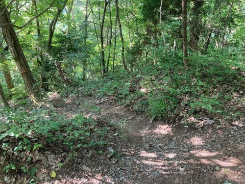 護摩堂山の登山レポート_f0270296_12023940.jpg