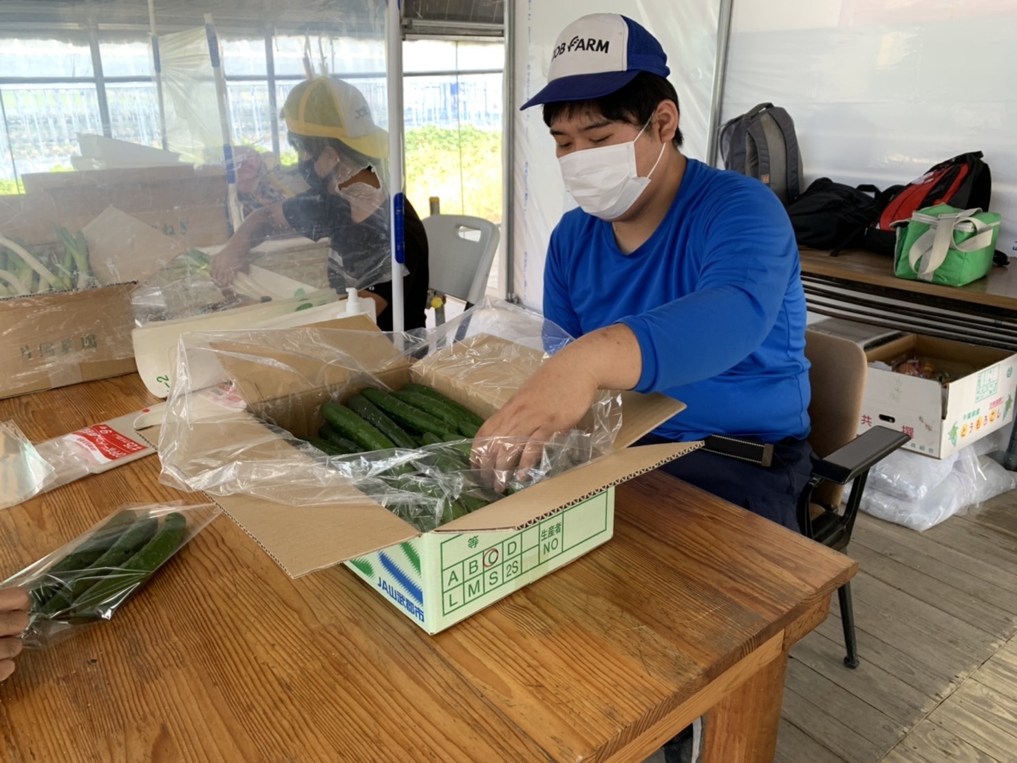 野菜の袋詰め いちごの管理作業など ジョブファーム活動ブログ 野菜の袋詰め いちごの管理作業など ジョブファーム活動ブログ