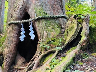 日帰り戸隠神社!_c0051529_13584828.jpg