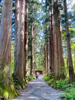 日帰り戸隠神社!_c0051529_14031113.jpg
