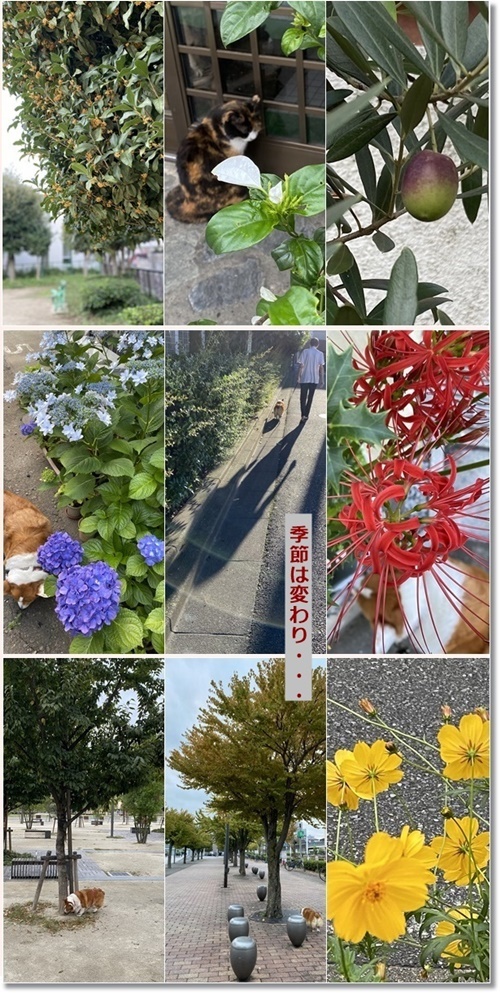 神無月_c0128342_12564024.jpg
