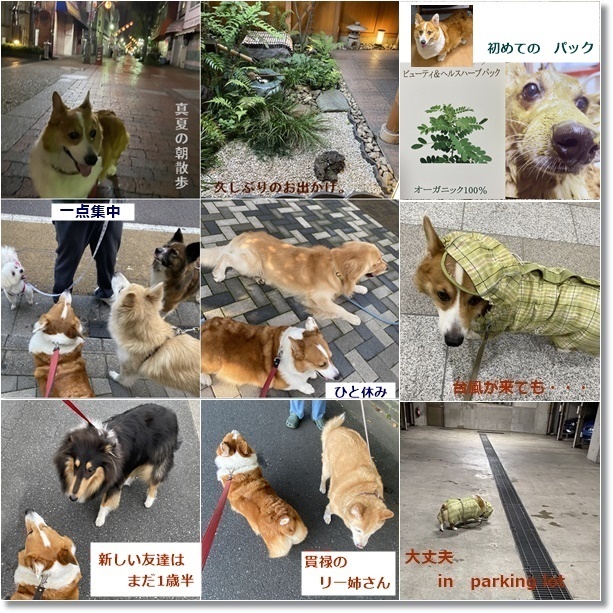 神無月_c0128342_13003479.jpg
