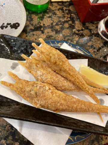お久しぶりめっけもん_f0082056_19174863.jpg