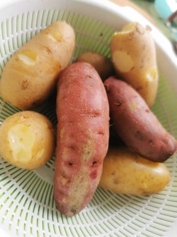 軽く撮った写真でも_a0007462_17215570.jpg