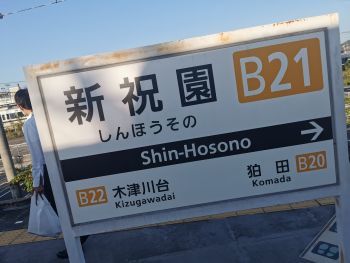 軽く撮った写真でも_a0007462_17353501.jpg