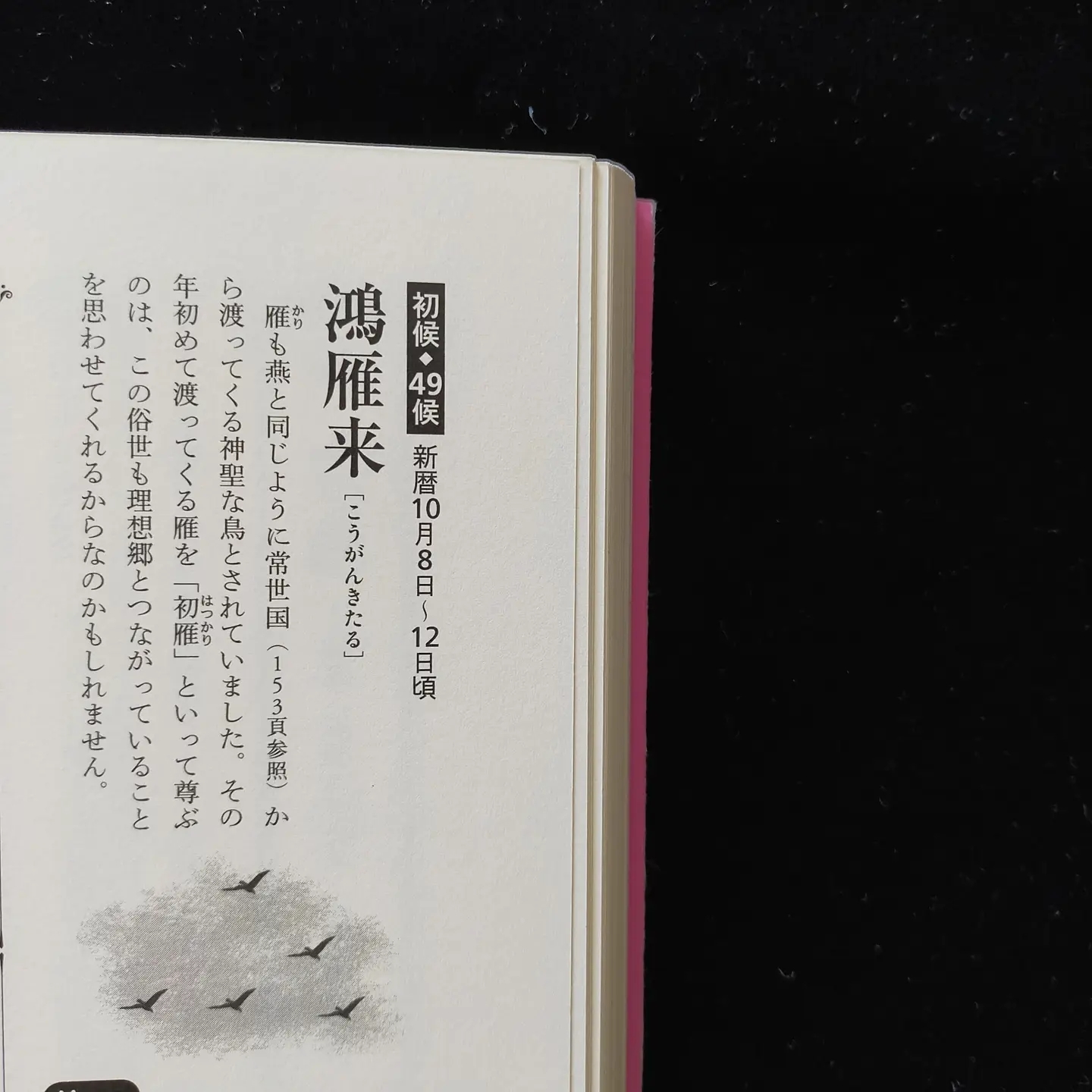 211008② 第四十九候 鴻雁来(こうがんきたる)_f0164842_19412751.png