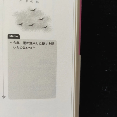 211008② 第四十九候 鴻雁来(こうがんきたる)_f0164842_19415161.png