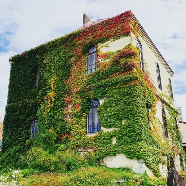 石川 優太 絵画全貌　開催中_a0141072_19374419.jpeg