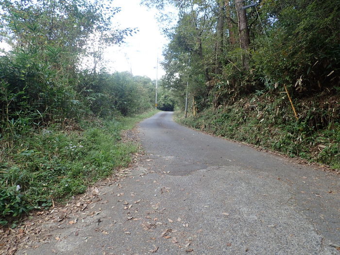 小畑山登山（湯来町土井ー大杉ー小畑山ー鉄塔沿いの山道ー旧河内峠ー五日市町下河内）_c0116915_00240592.jpg