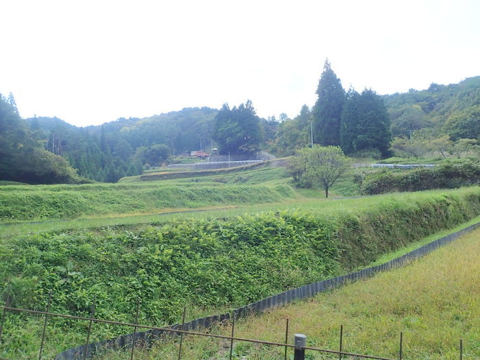 小畑山登山（湯来町土井ー大杉ー小畑山ー鉄塔沿いの山道ー旧河内峠ー五日市町下河内）_c0116915_00300177.jpg