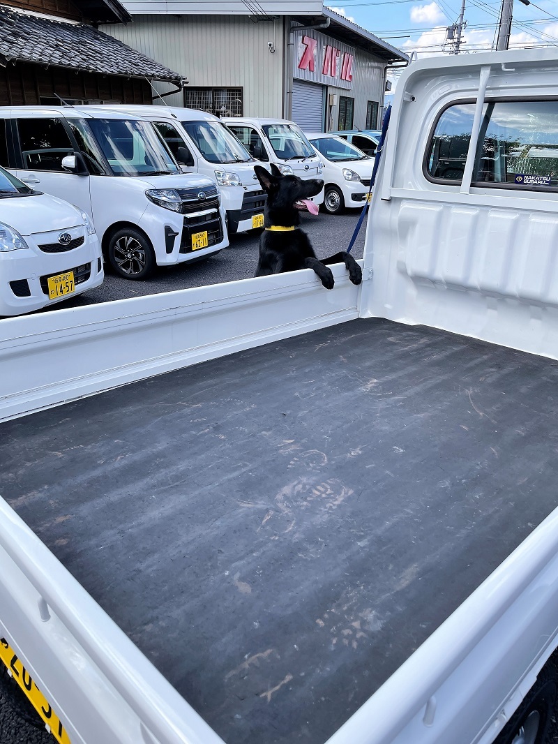良いじゃないか!新型BRZの2ペダル到着!!_f0076731_19555382.jpg