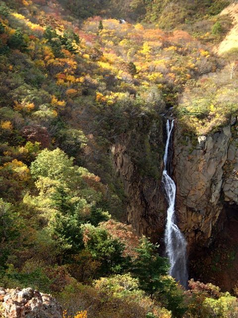 21 10 7 蔵王の紅葉 今年の様子は 蔓兵衛の山と庭の日々