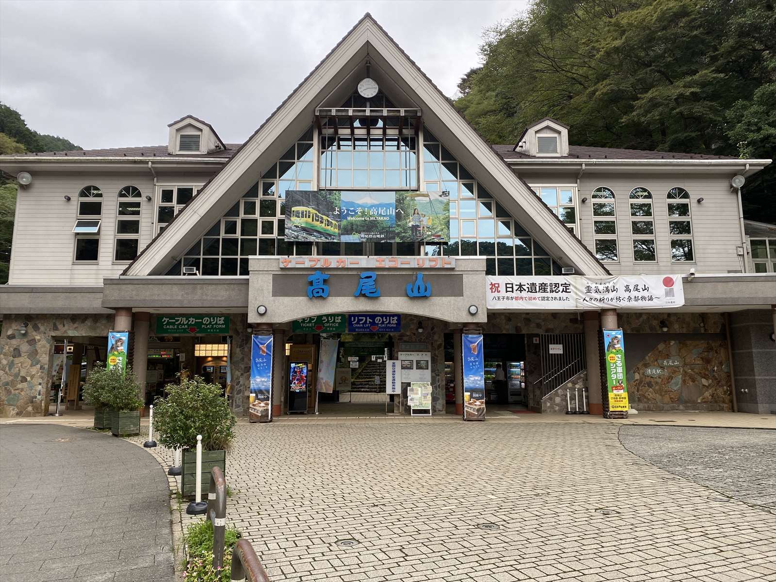 高尾山周辺の花 野の花山の花ウォッチング In 奥多摩