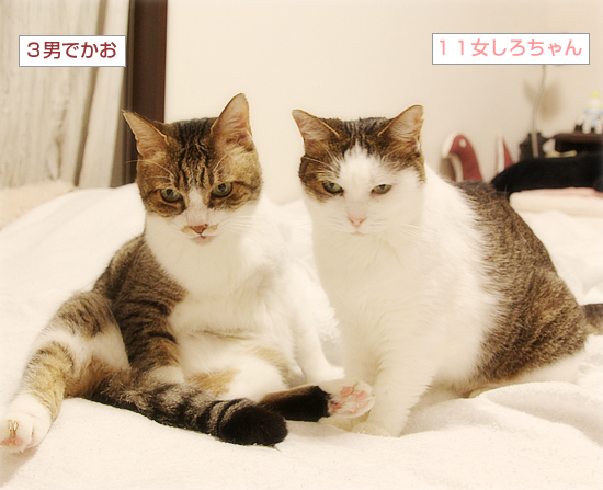 仲が良すぎて_a0389088_17131428.jpg
