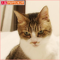 仲が良すぎて_a0389088_17131513.jpg