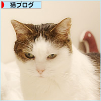 仲が良すぎて_a0389088_17131543.jpg