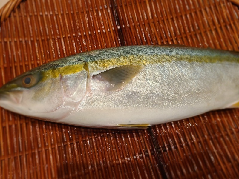 いなだのしゃぶしゃぶ 料理研究家ブログ行長万里 日本全国 美味しい話