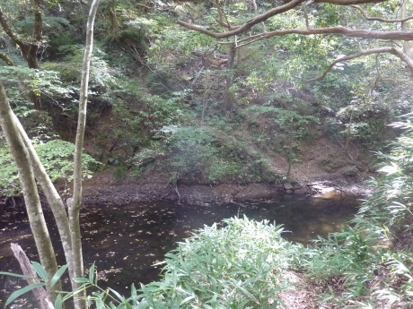 沢登り『裏六甲地獄谷』_c0218841_10454142.jpg