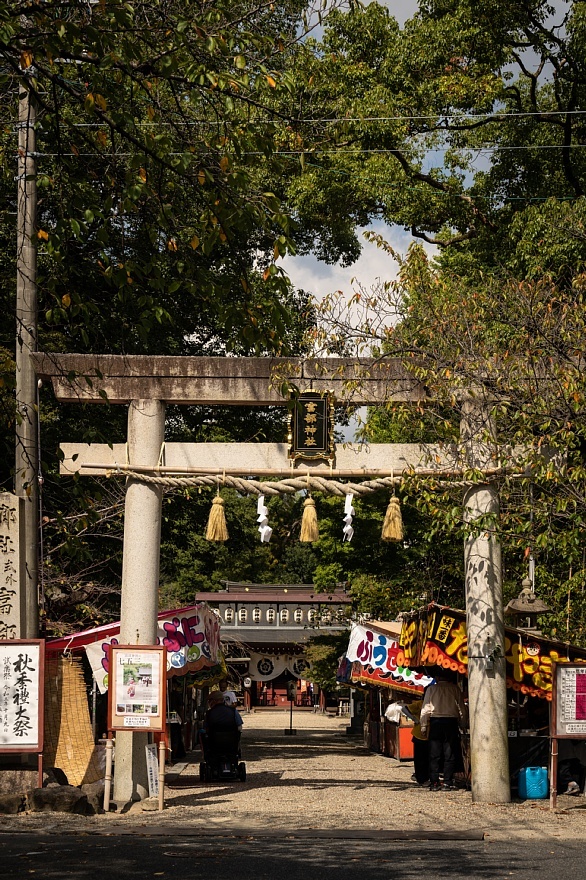 祭礼の日の疫病退散の神社_d0353489_22153845.jpg