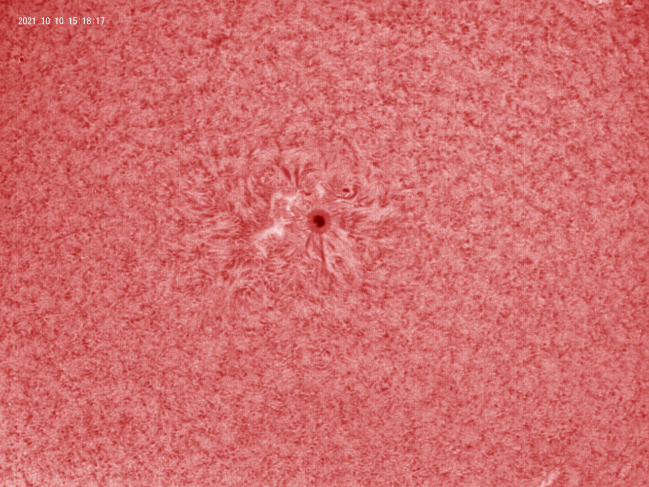 10月10日の太陽_e0174091_16344096.jpg