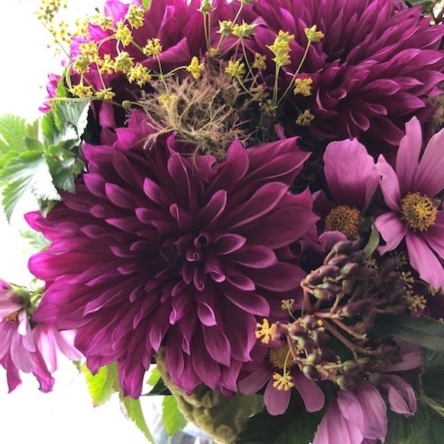 ひかりの10月_f0137694_11575187.jpeg