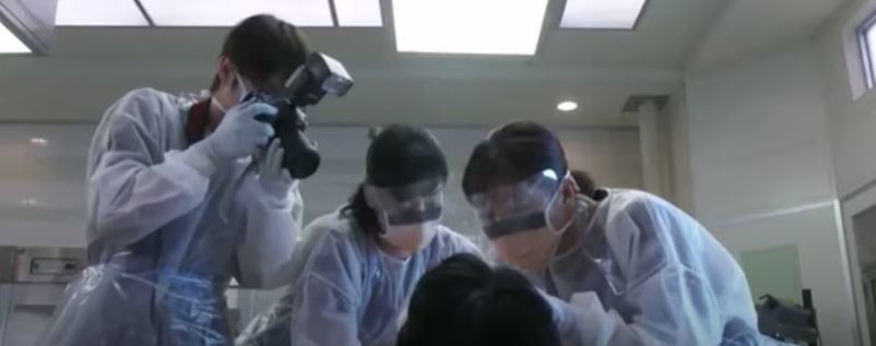 Unnatural この映画とか話題とか動画はどう