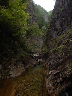 神の領域へ再び…明神洞遡行_c0359615_14503473.jpg