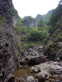 神の領域へ再び…明神洞遡行_c0359615_14505271.jpg