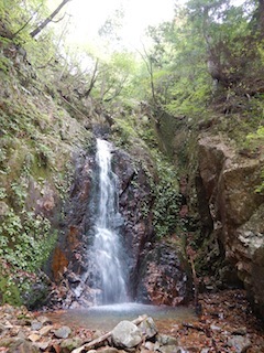 神の領域へ再び…明神洞遡行_c0359615_14552866.jpg