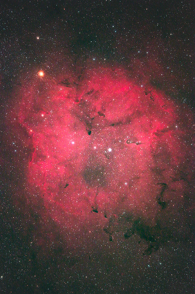 ガーネットスターとIC1396_d0383419_23394714.jpg