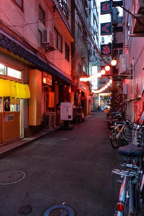 【(山梨グルメ)甲府市「飲み食い処 のんでけし」・・・甲府駅前ちょうちん横丁にある「魚介類」と「おでん」推しの店!!】_a0005436_14445693.jpg