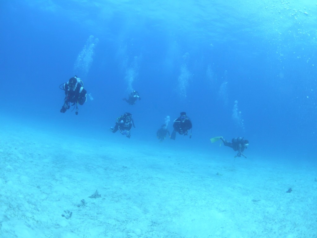 ブルーな海とウミガメ☆_a0189838_15482424.jpg