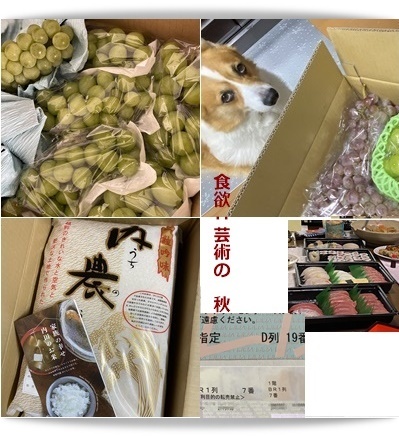 神無月_c0128342_19175342.jpg