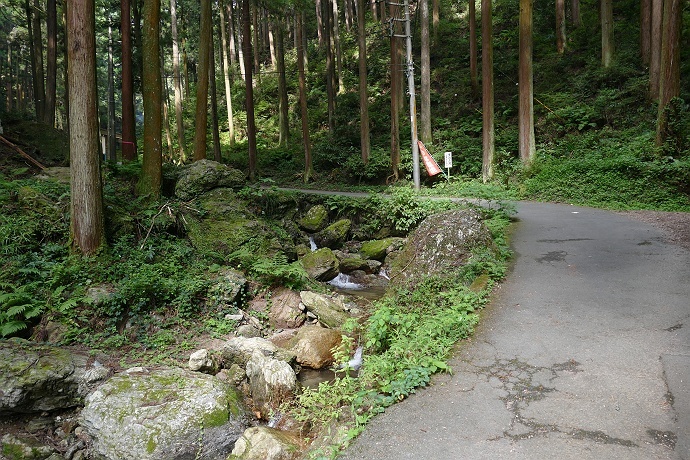 黒山三滝から顔振峠に向かう　その4_c0196928_07593352.jpg