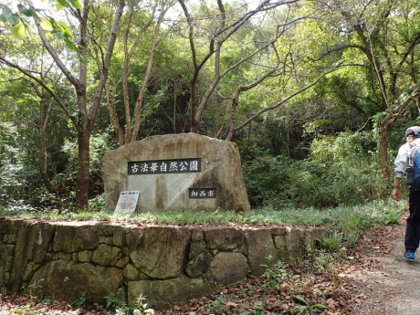 加西アルプス(笠松山)_c0218841_14145488.jpg