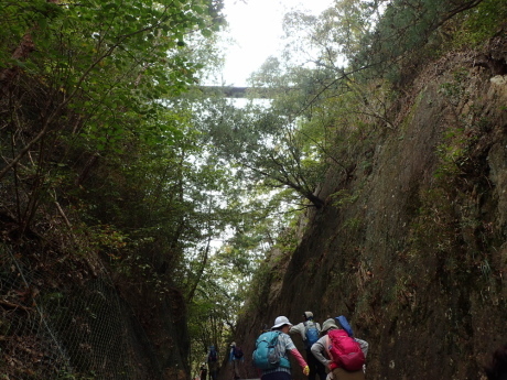 加西アルプス(笠松山)_c0218841_14151053.jpg