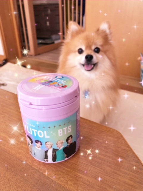 みっけ‼‼_b0208246_18044105.jpg